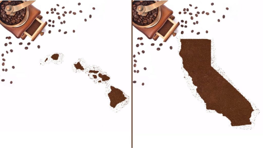 coffee US states - Coffee Paradiso