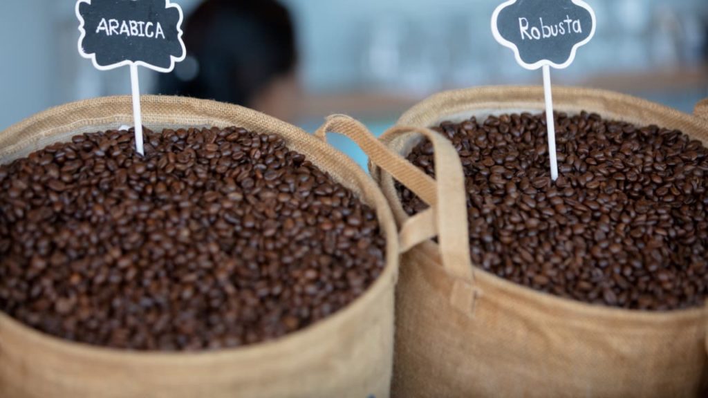 coffee beans - Coffee Paradiso