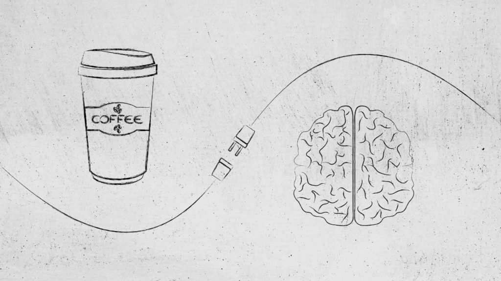 coffee brain - Coffee Paradiso
